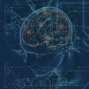 نقشه برداری از مدارهای الکتریکی مغز